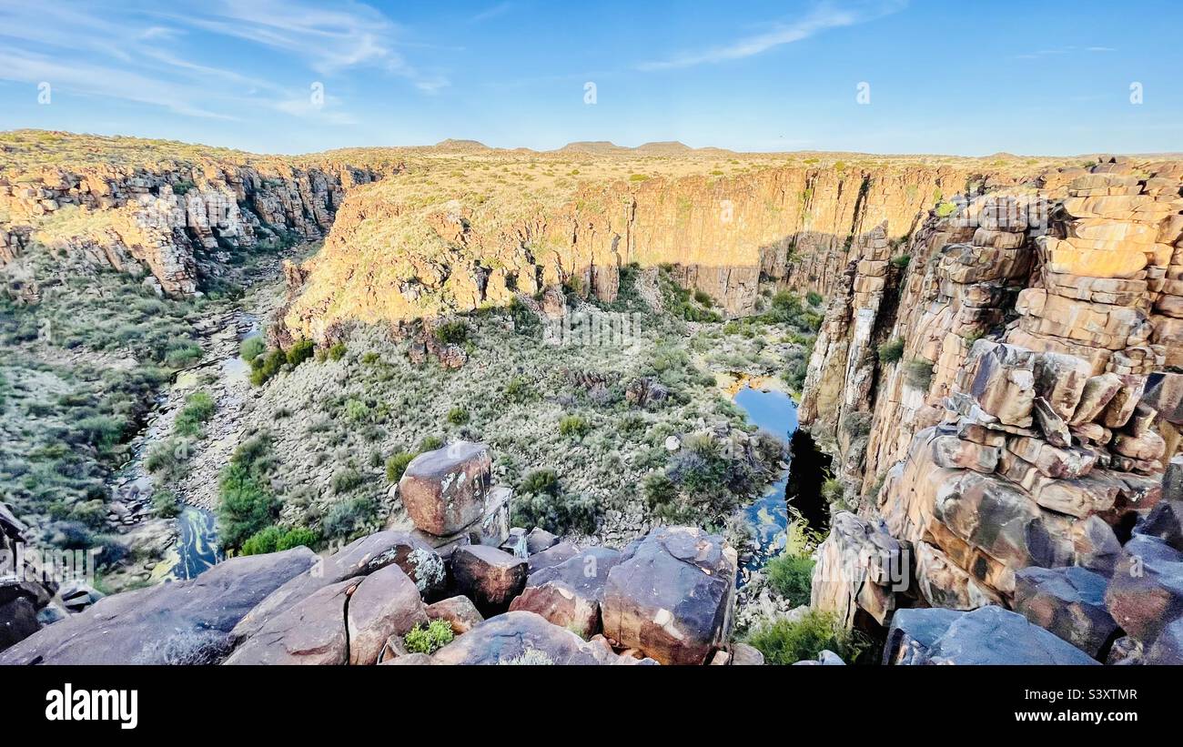 The great tiger hi res stock photography and images Alamy