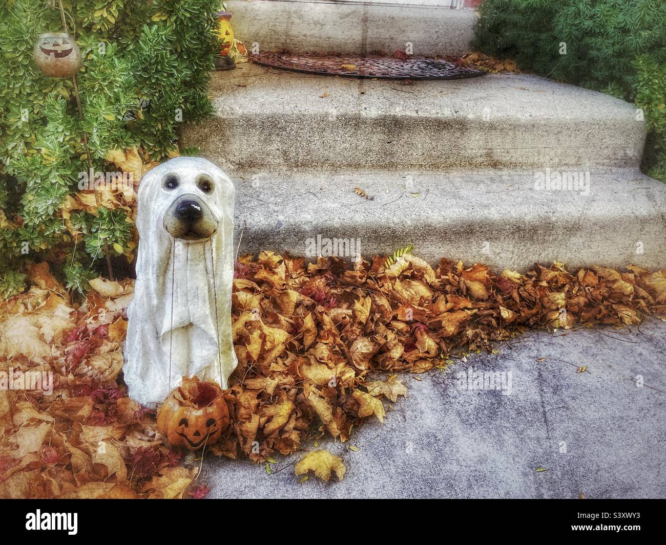 A friendly ghost pup wants to trick or treat too. He stands at the front porch of a Utah, USA home as part of their yard decor each year during October and the Halloween season. - Smartphone Captured Stock Image