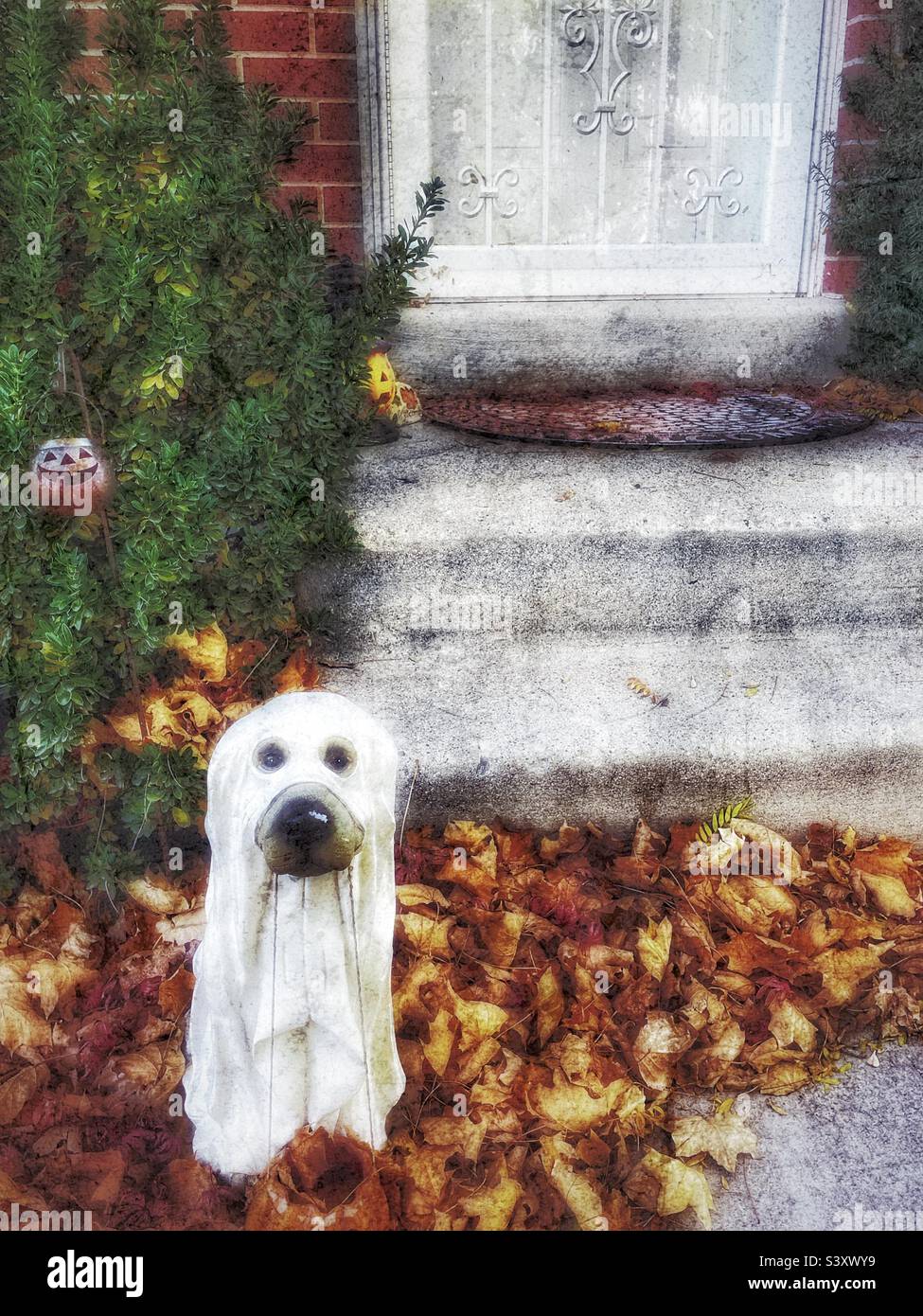 A friendly ghost pup wants to trick or treat too. He stands at the front porch of a Utah, USA home as part of their yard decor each year during October and the Halloween season. - Smartphone Captured Stock Image