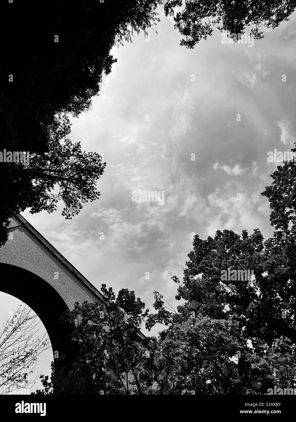 Bridge black and hi-res stock photography and images - Alamy