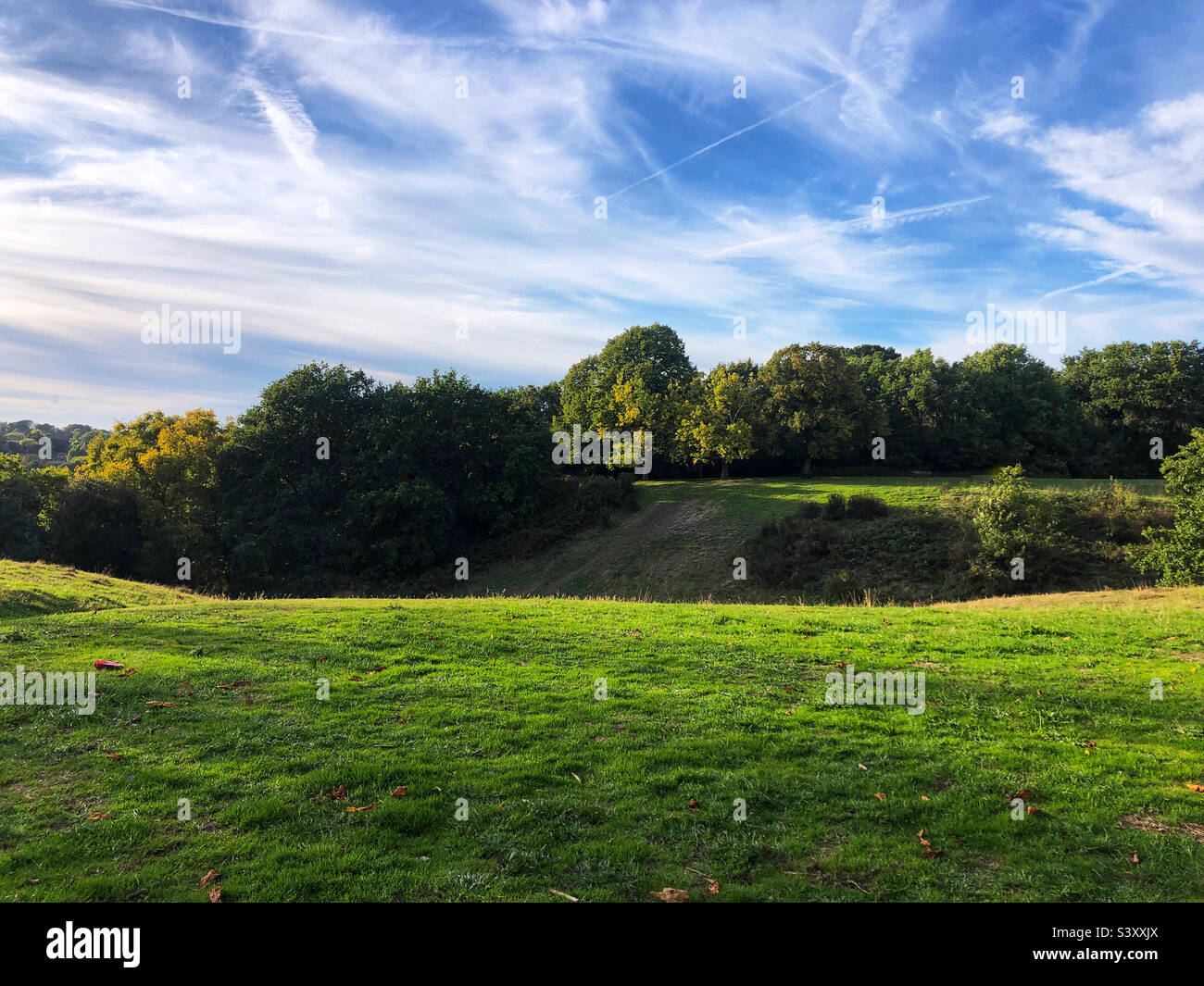 Lush green area hi-res stock photography and images - Alamy