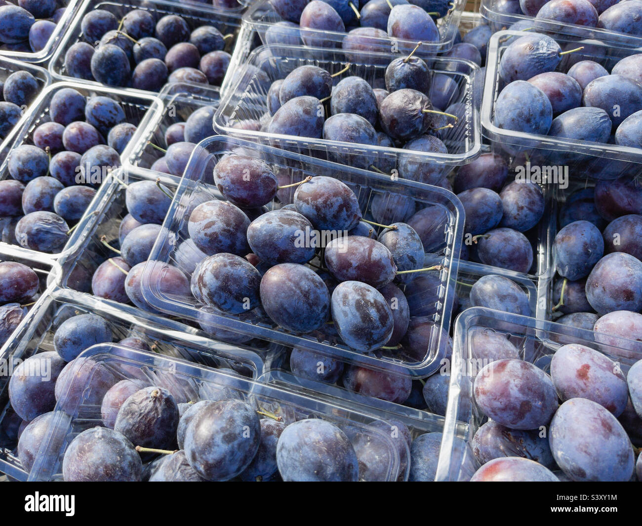 ripe purple plums on farmers market stall - Smartphone Captured Stock Image