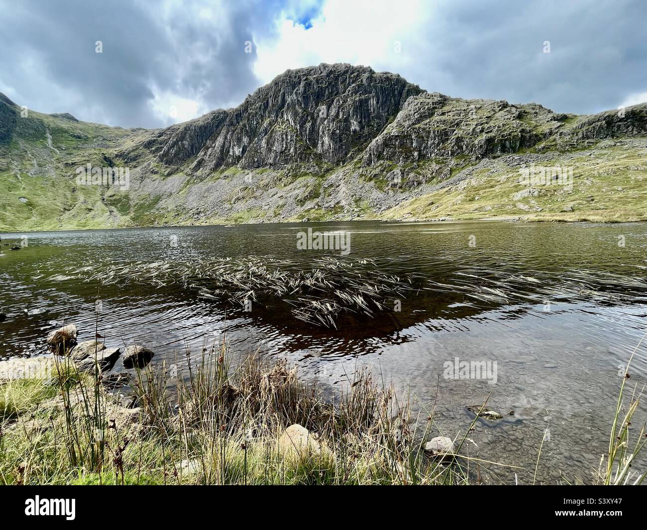 Pond weed reflecting Pavey Ark in Stickle Tarn, the Lake District Stock Photo