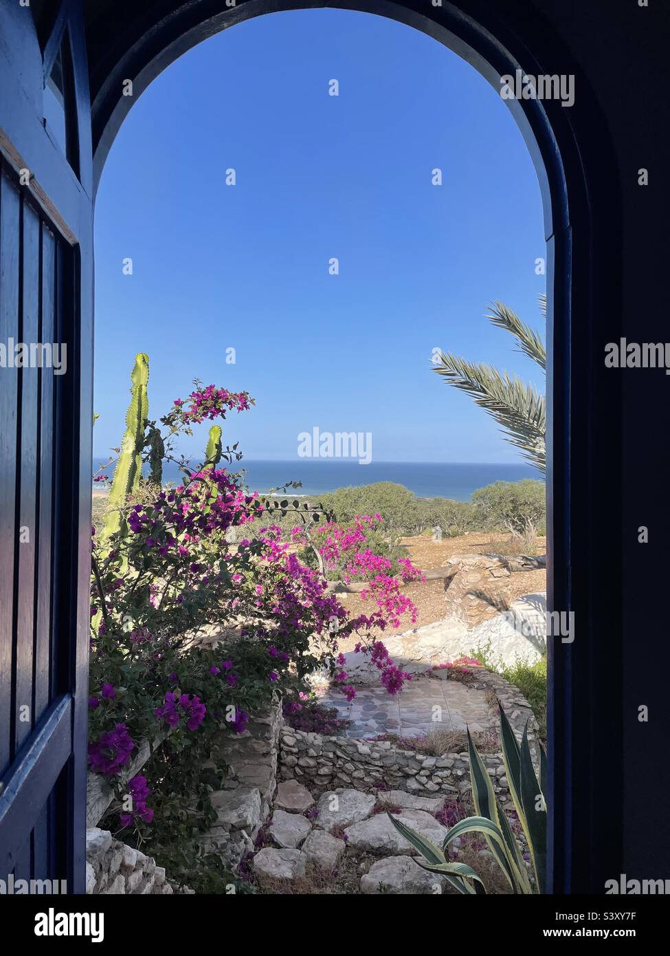 Room on the hill of Essaouira in Morocco with a view to the Atlantic Ocean and beautiful bougainvillea and cactus in front of the door - Smartphone Captured Stock Image
