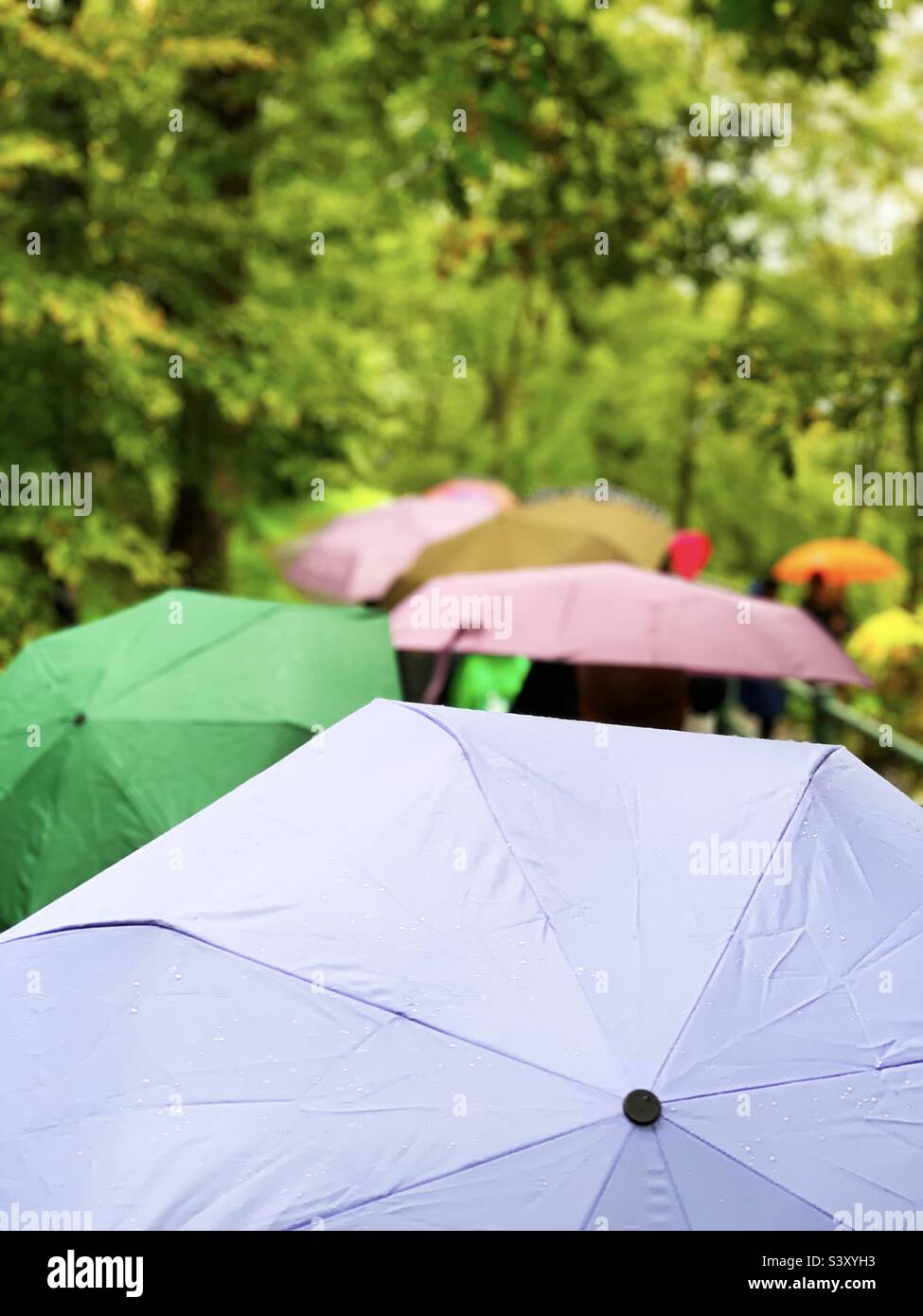 Rainy day - Smartphone Captured Stock Image