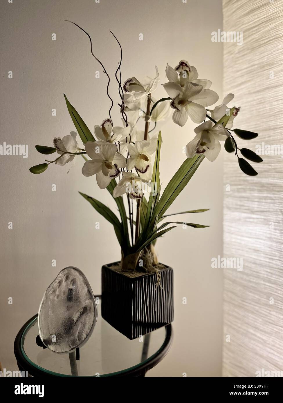 Artificial orchid plant by the room light Stock Photo Alamy