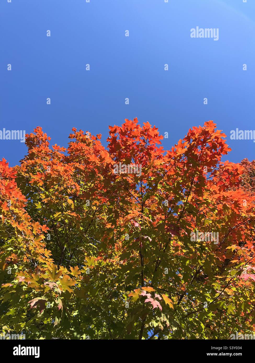 Fall skies blue hi-res stock photography and images - Alamy