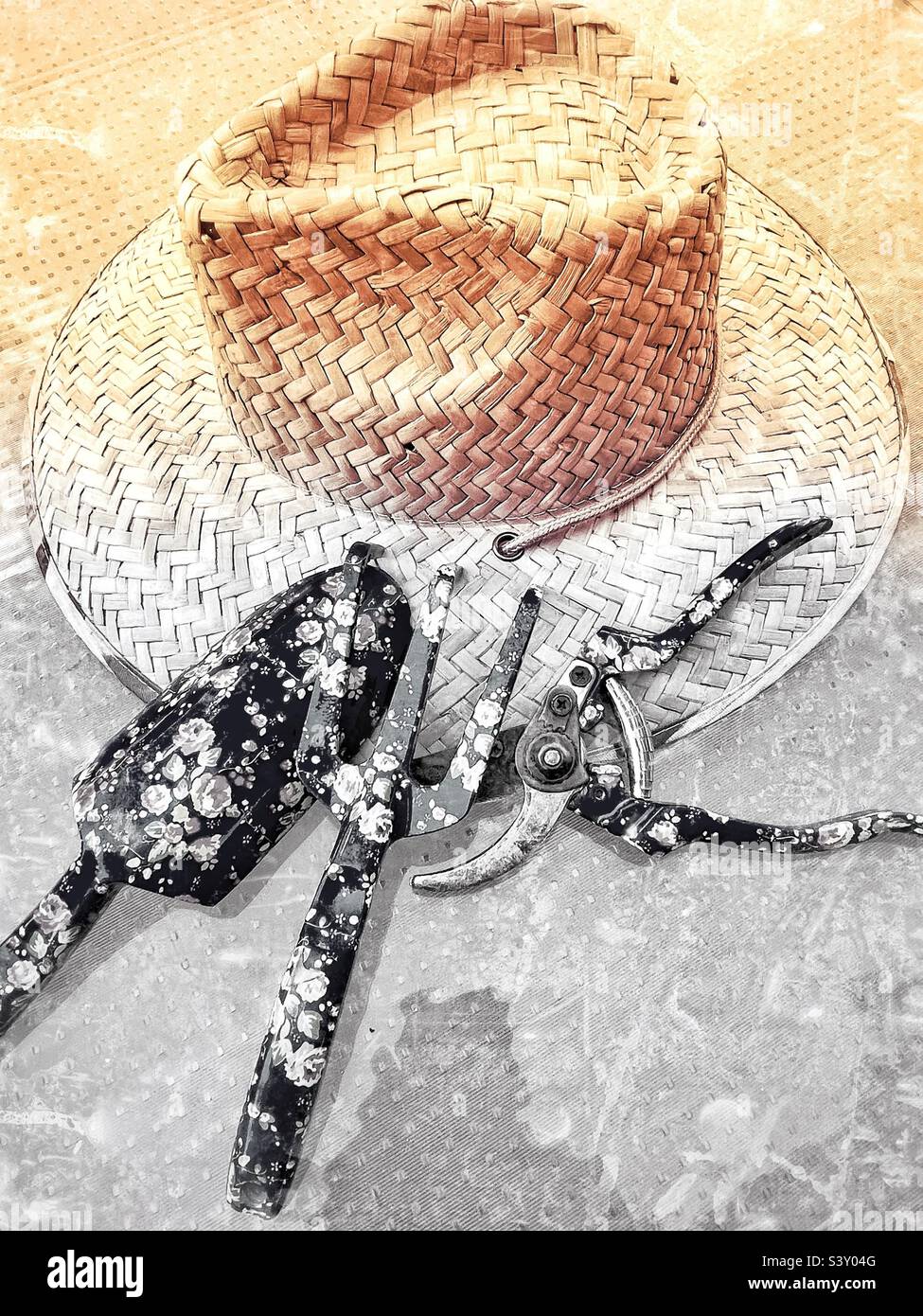 A gardener’s still life on a patio table in a backyard in Utah, USA. A gradient of Black and White and Sepia tones (Duo-Tone) creates a simple, yet stark image. - Smartphone Captured Stock Image