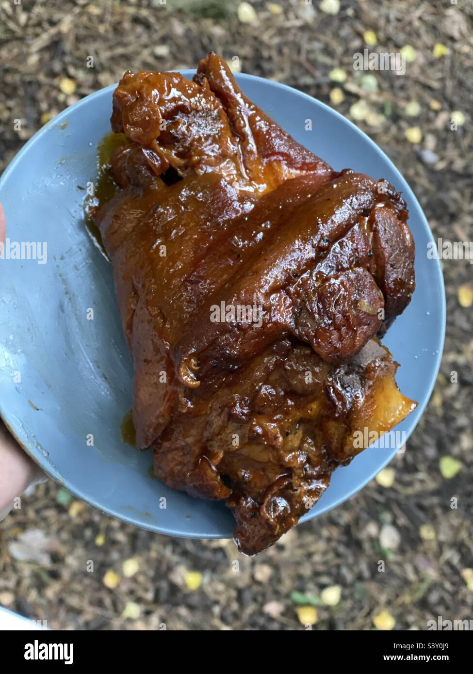 barbecue pork knuckle - Smartphone Captured Stock Image