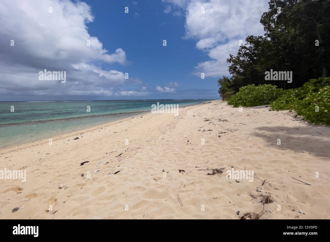 Golden sands and turquoise water at Riambel beach, Mauritius - Smartphone Captured Stock Image
