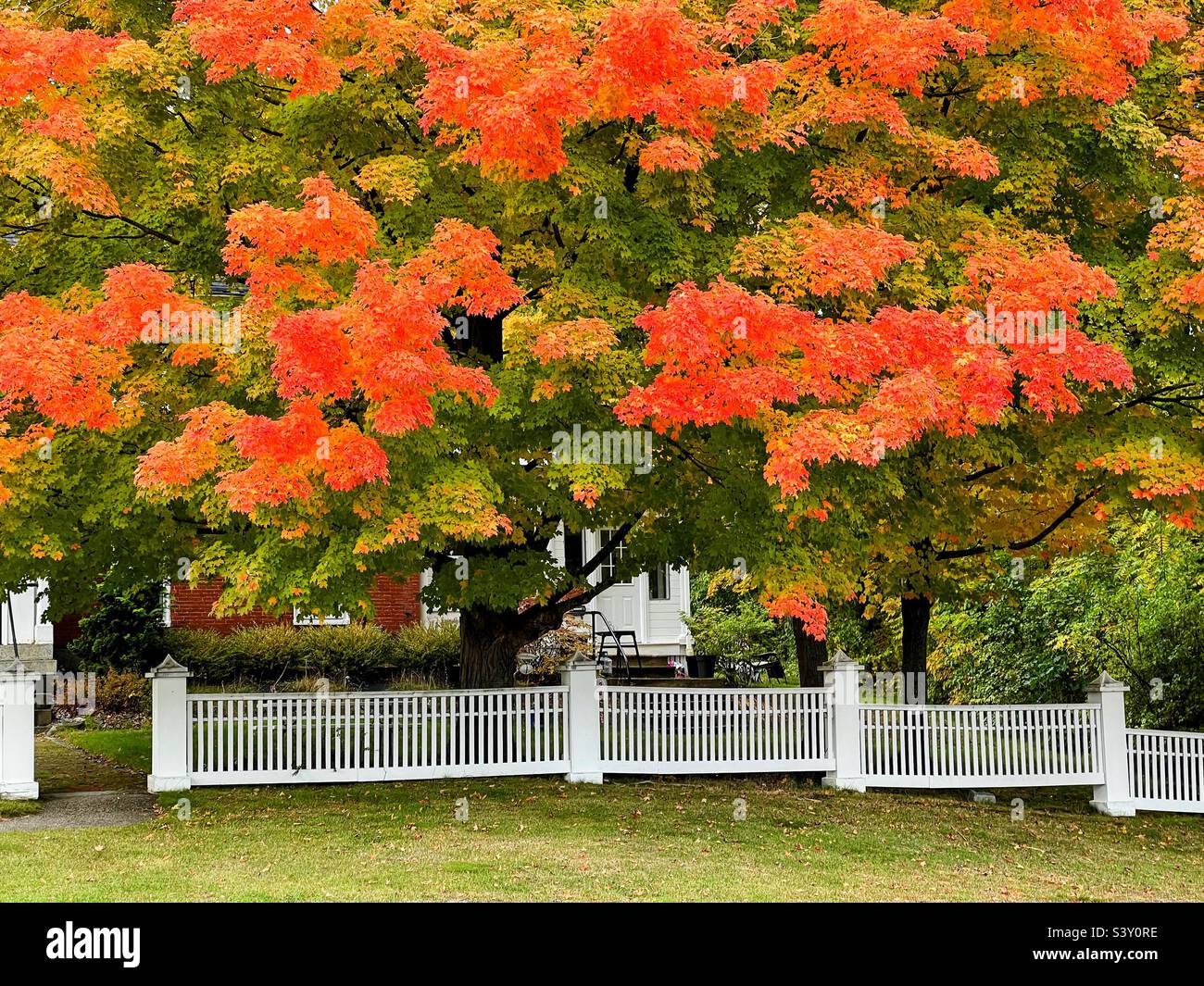 New Hampshire fall colors Stock Photo Alamy