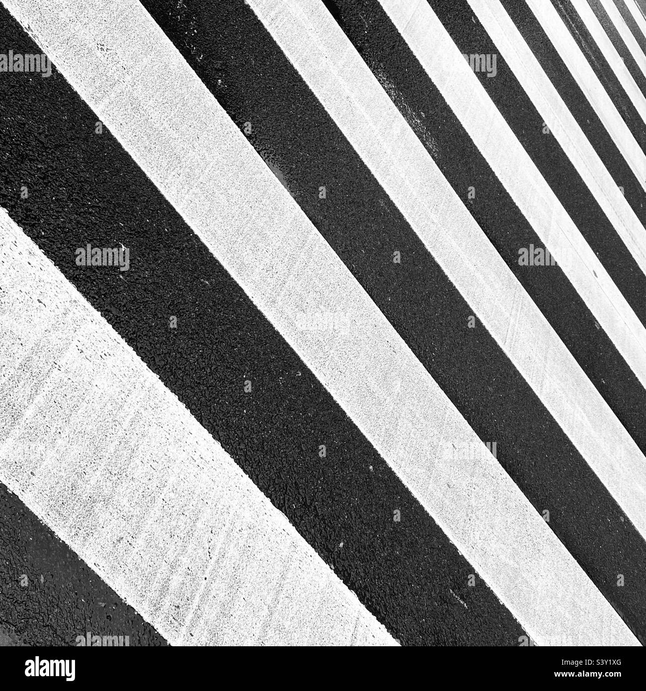 Dutch zebra crossing Stock Photo Alamy