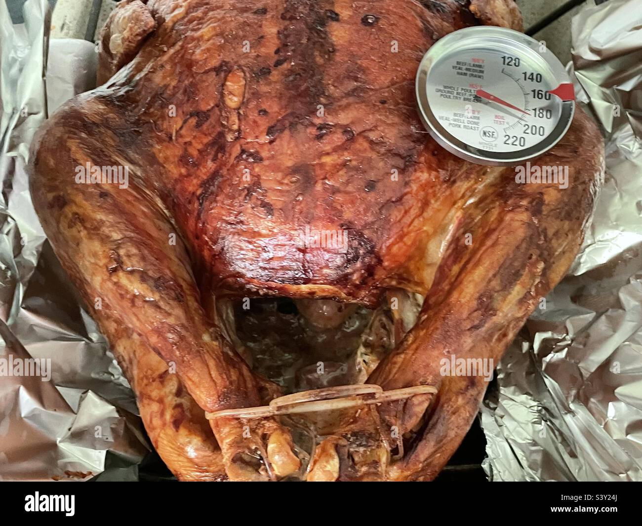 https://c8.alamy.com/comp/S3Y24J/thanksgiving-turkey-taken-from-the-oven-to-check-the-meat-thermometer-reading-which-is-sitting-at-about-190-degrees-getting-close-to-being-deliciously-done-and-ready-to-eat-S3Y24J.jpg