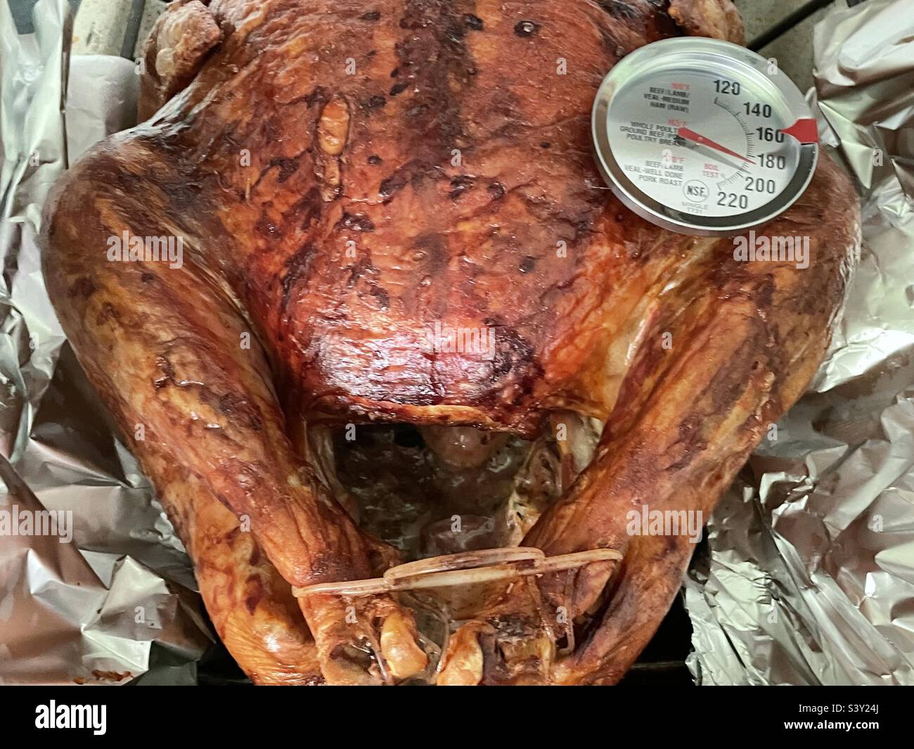 Thanksgiving turkey taken from the oven to check the meat thermometer reading which is sitting at about 190 degrees. Getting close to being deliciously done and ready to eat. - Smartphone Captured Stock Image