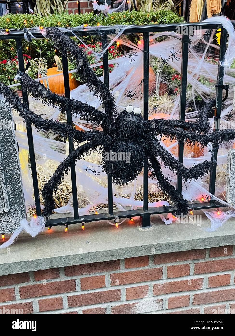 Giant spider Halloween decoration - Smartphone Captured Stock Image