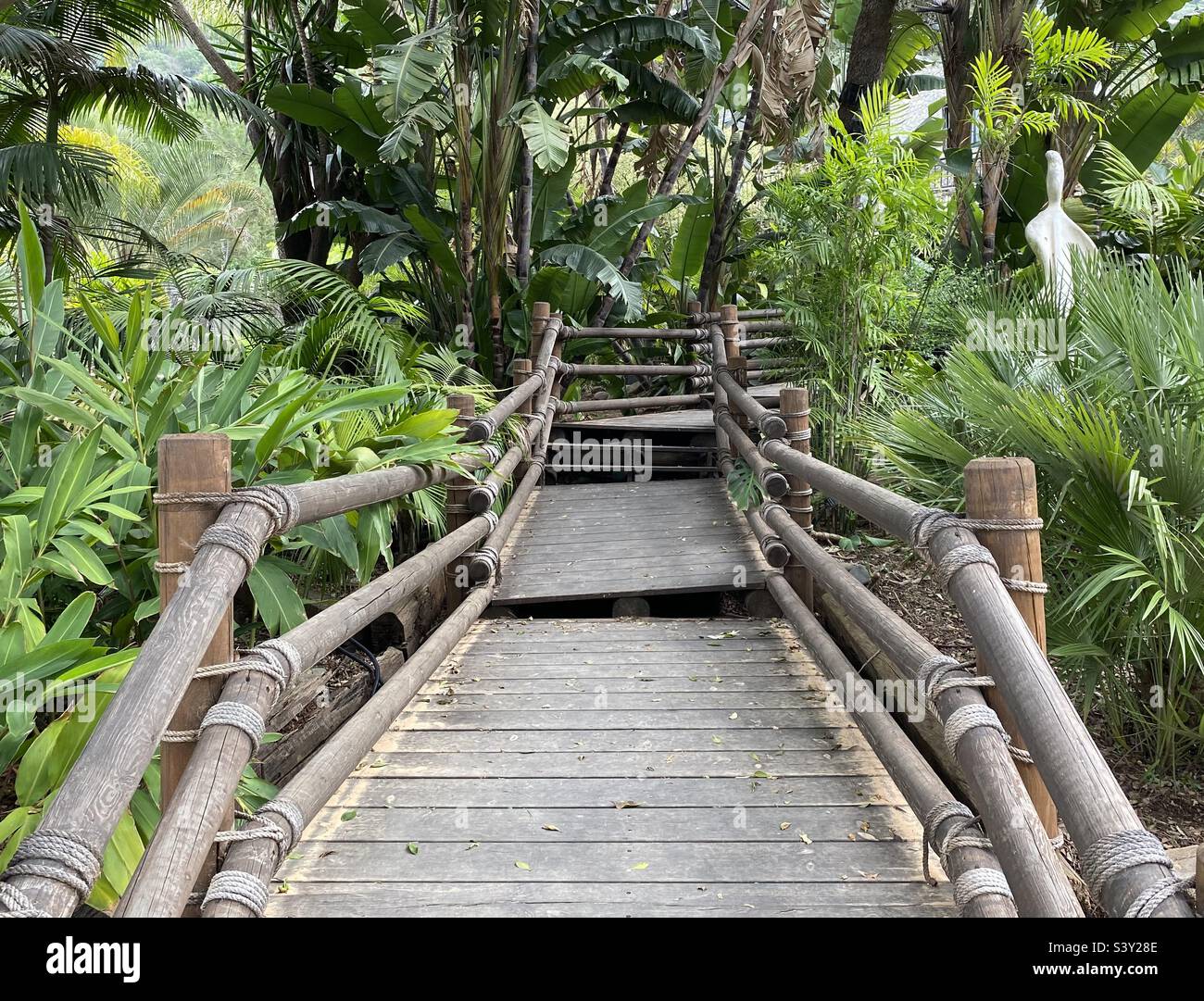 Footpath through the Alameda Botanical gardens in Gibraltar - Smartphone Captured Stock Image