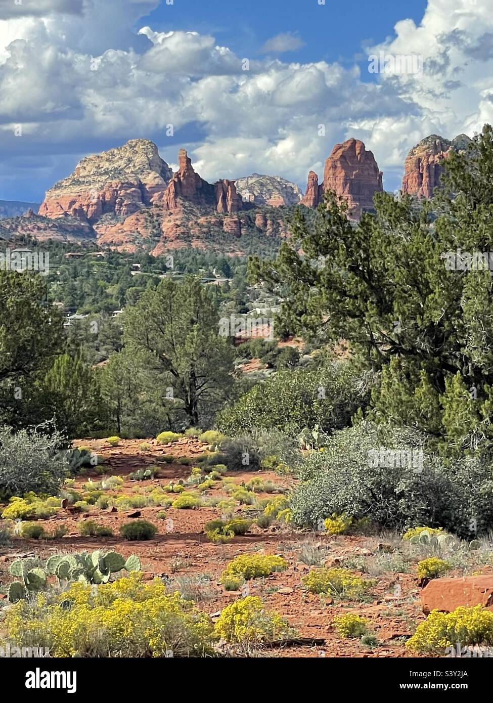 West Sedona AZ view from Huckaby and Marg’s Draw trailhead off of Schnebly Hill Road, Yellow Broom Snakeweed in foreground and looming storm clouds over Capital Butte area rock formations. Stock Photo