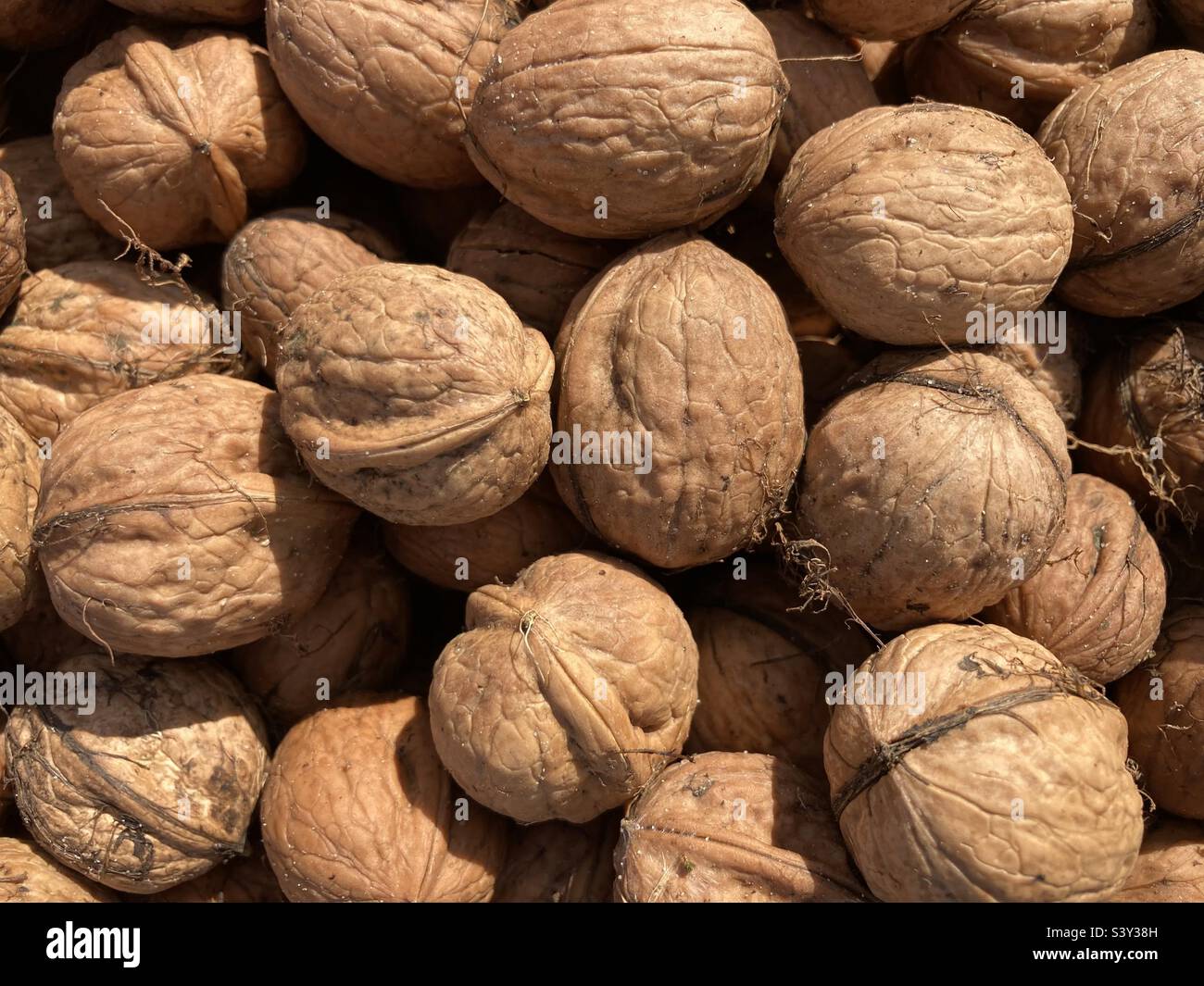 a heap of brown walnuts Stock Photo
