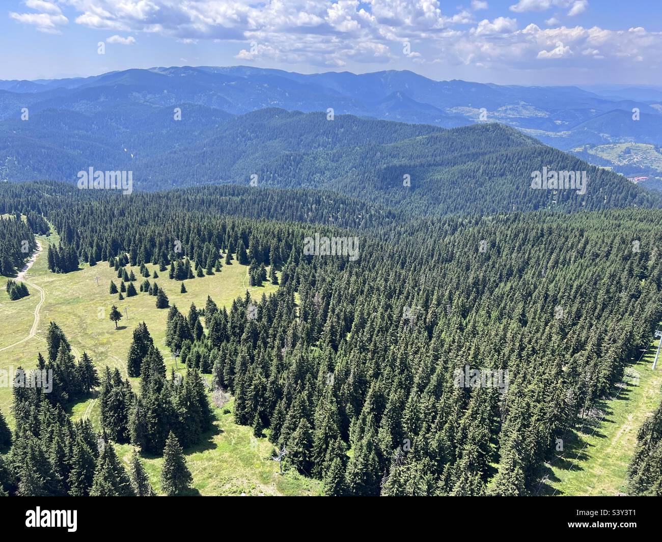 Mountain forest Stock Photo