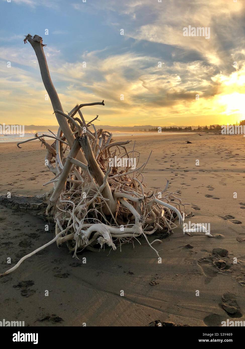 A beautiful mess Stock Photo Alamy