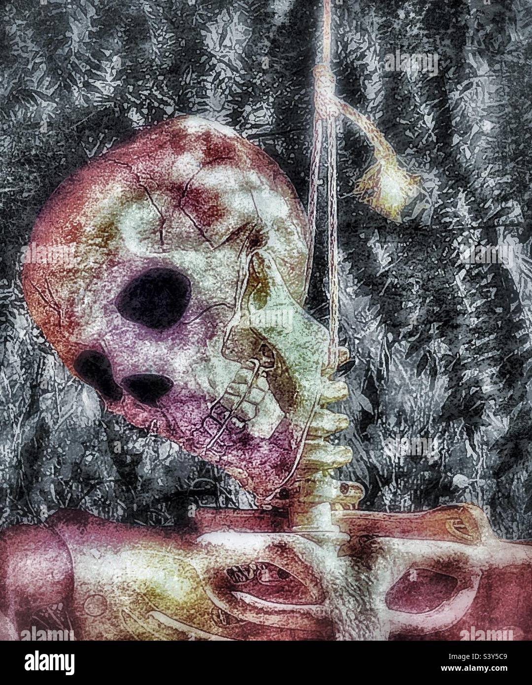 Life-sized skeleton being hanged on a tree each October as part of a Utah, USA yard’s decor as Halloween approaches. - Smartphone Captured Stock Image