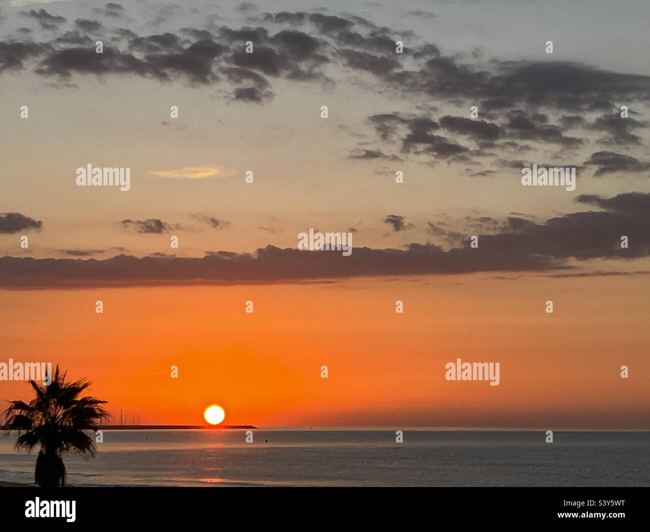 Calafell, Spain-12-10-2022: beautiful sunrise above the sea and beach with a palmtree in the foreground - Smartphone Captured Stock Image