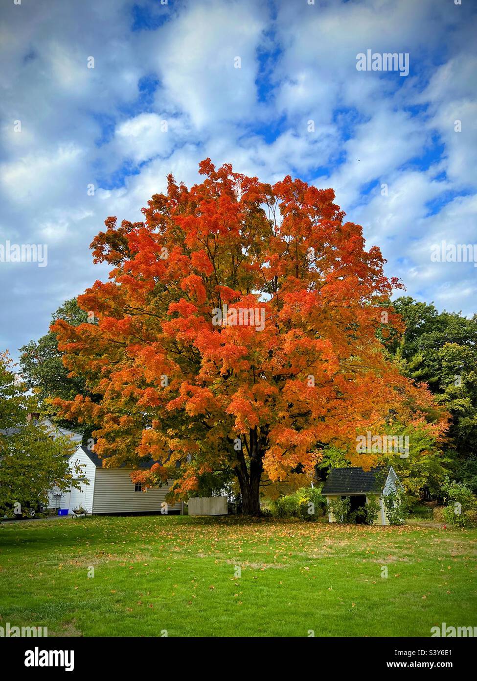 Fall colors in New England Stock Photo