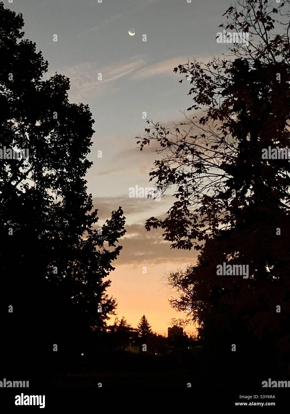 Sunrise with a fingernail moon. - Smartphone Captured Stock Image