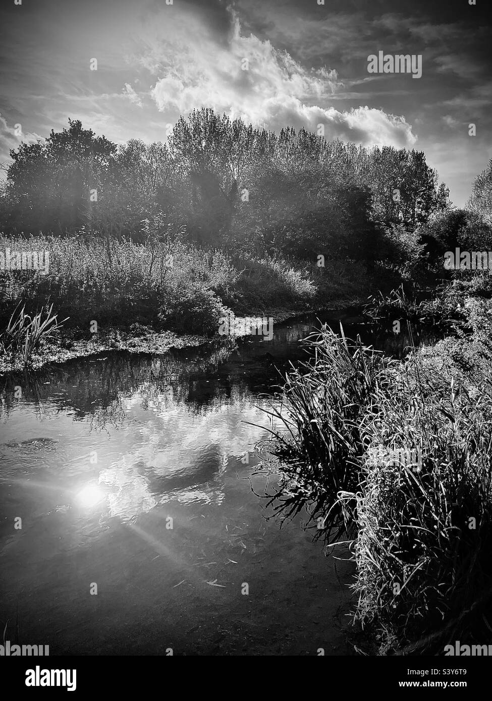 River Wensum - Smartphone Captured Stock Image