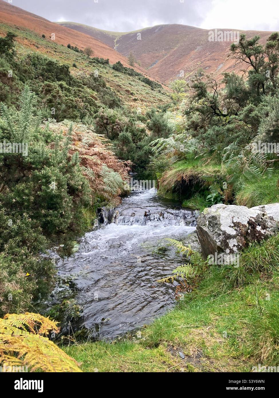 Mountain stream in the Lake District in autumn - Smartphone Captured Stock Image