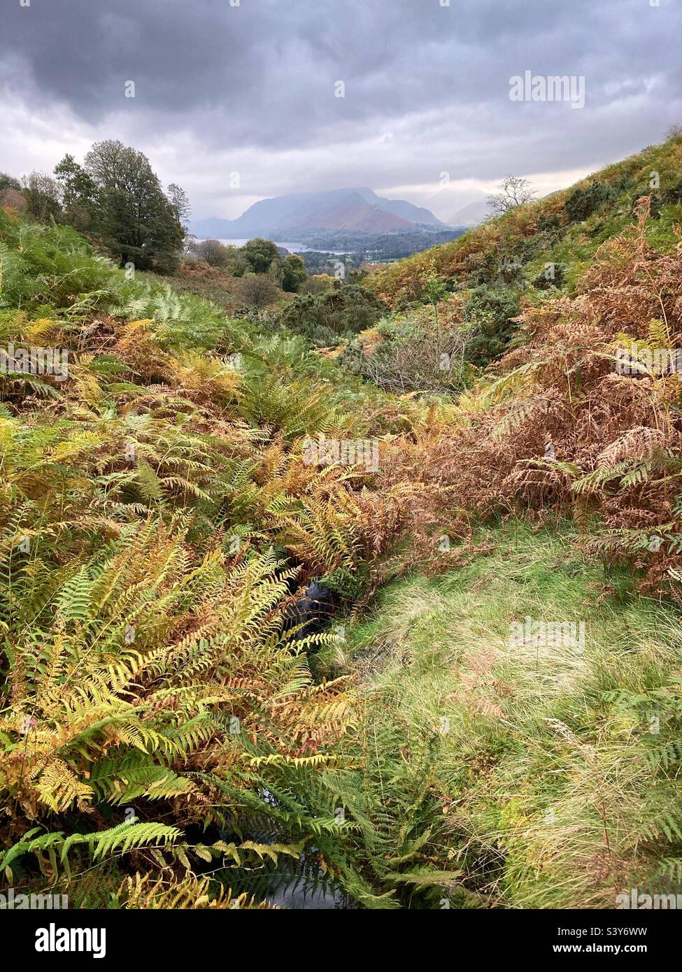 Autumn in the Lake District - Smartphone Captured Stock Image