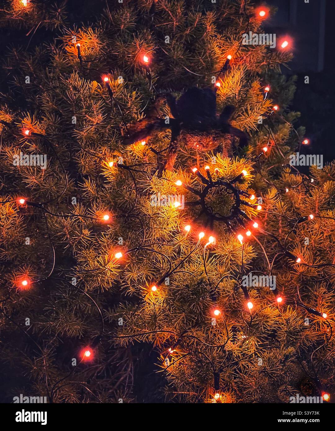 A creepy lighted Halloween decoration at a home in Utah, USA. An orange lighted spiderweb glows, “spun” by a smaller black spider that sits, waiting for prey. - Smartphone Captured Stock Image