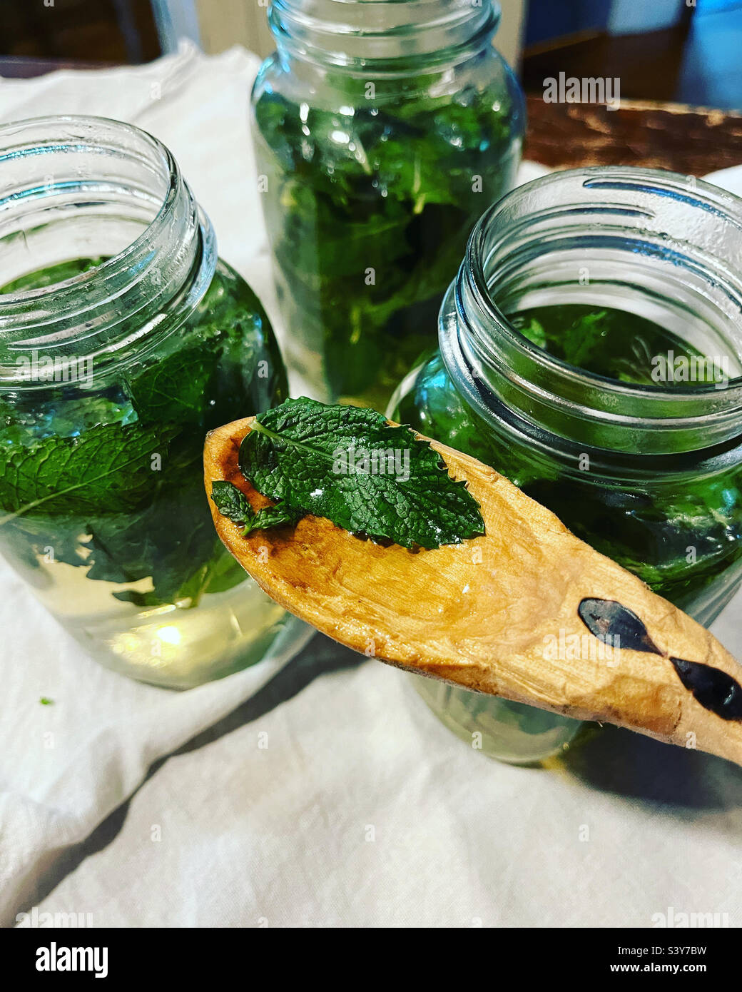 Fresh mint water Stock Photo Alamy