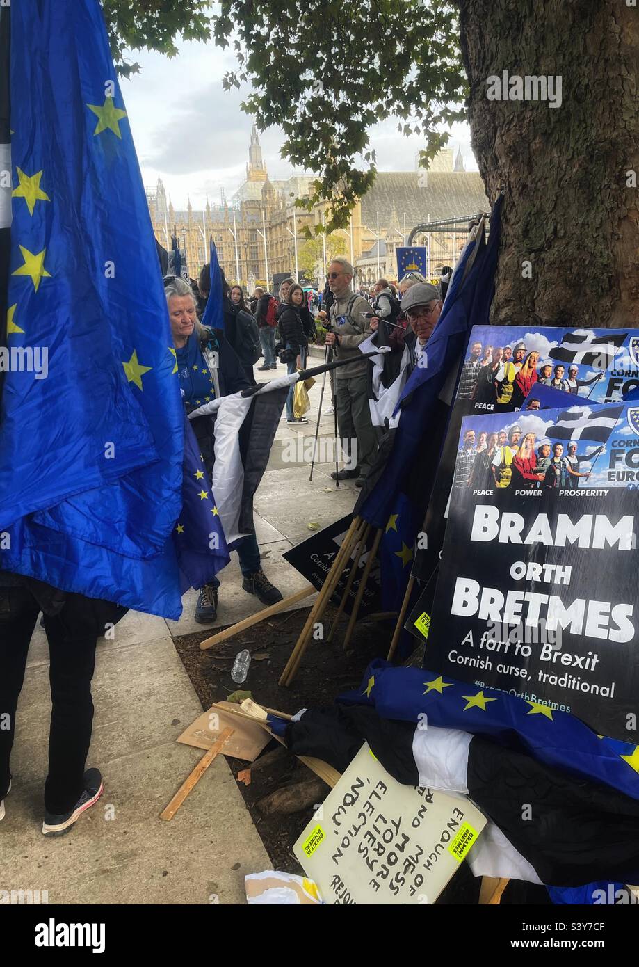 Cornwall for Europe believes that Britain’s best future lies in the closest possible relationship with the EU - their placard Bramm Orth Bretmes against a tree in Parliament Square with EU flags - Smartphone Captured Stock Image