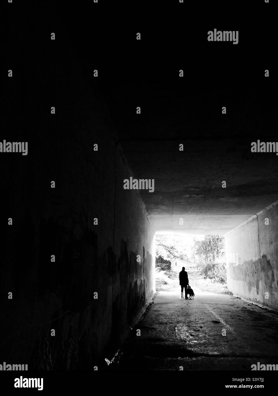 Lone man in a tunnel with a dog - Smartphone Captured Stock Image