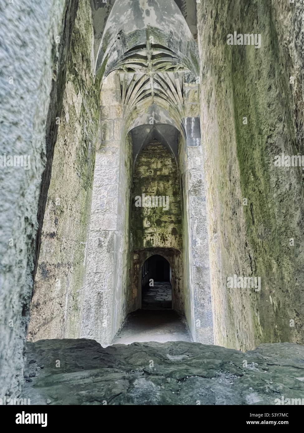 Abandoned Muckross abbey, Ireland Stock Photo