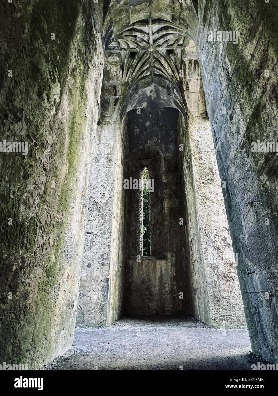 Abandoned dramatic muckross abbey Ireland Stock Photo