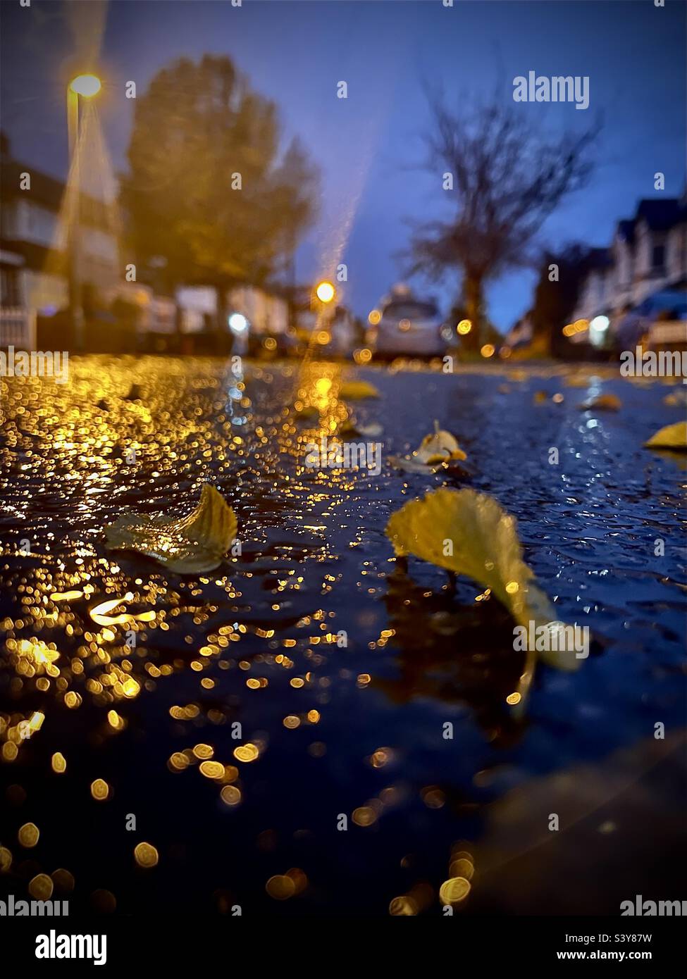 Autumn, evening, and rain Stock Photo