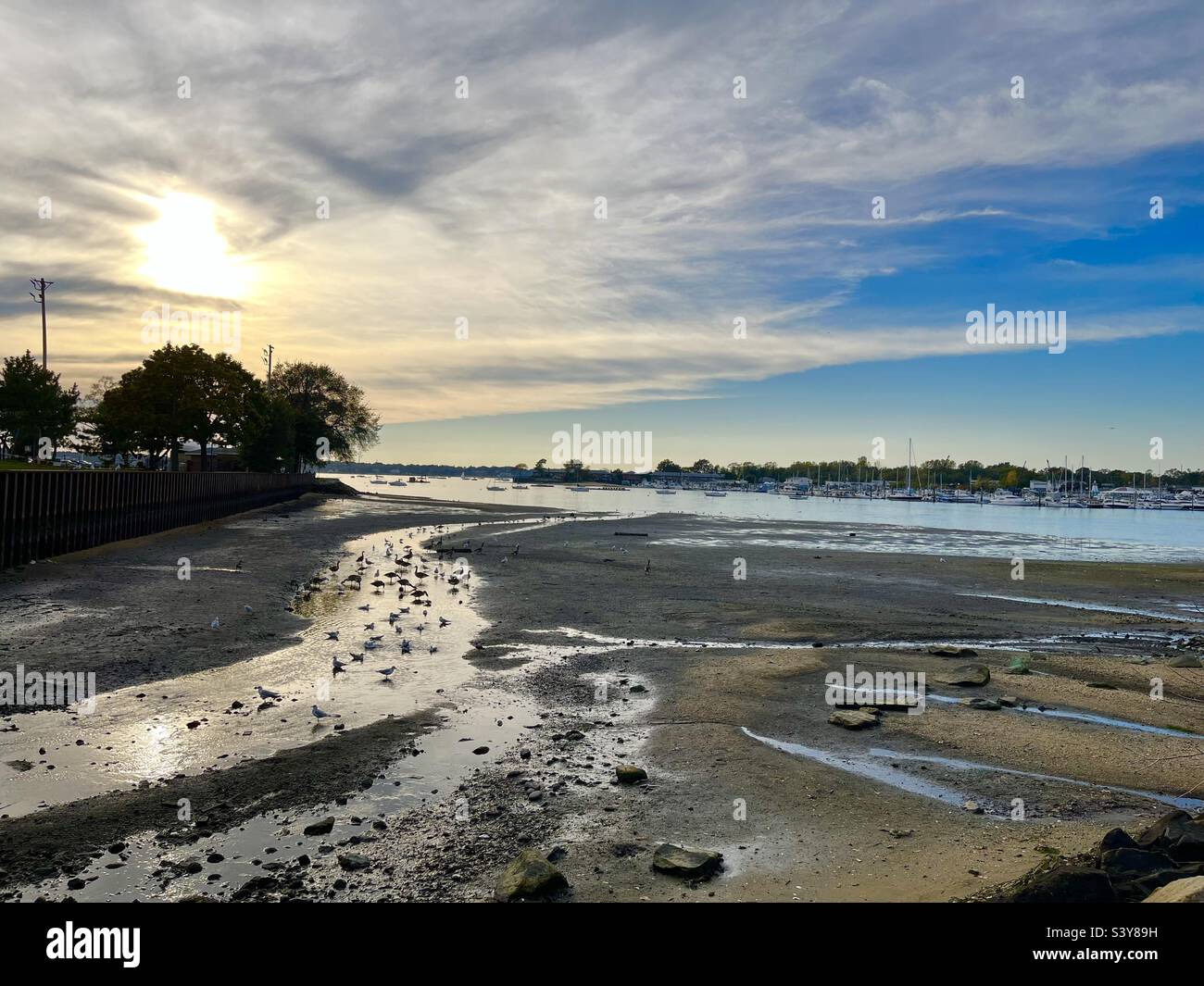 Low tide ocean view with pre-sunset sky - Smartphone Captured Stock Image