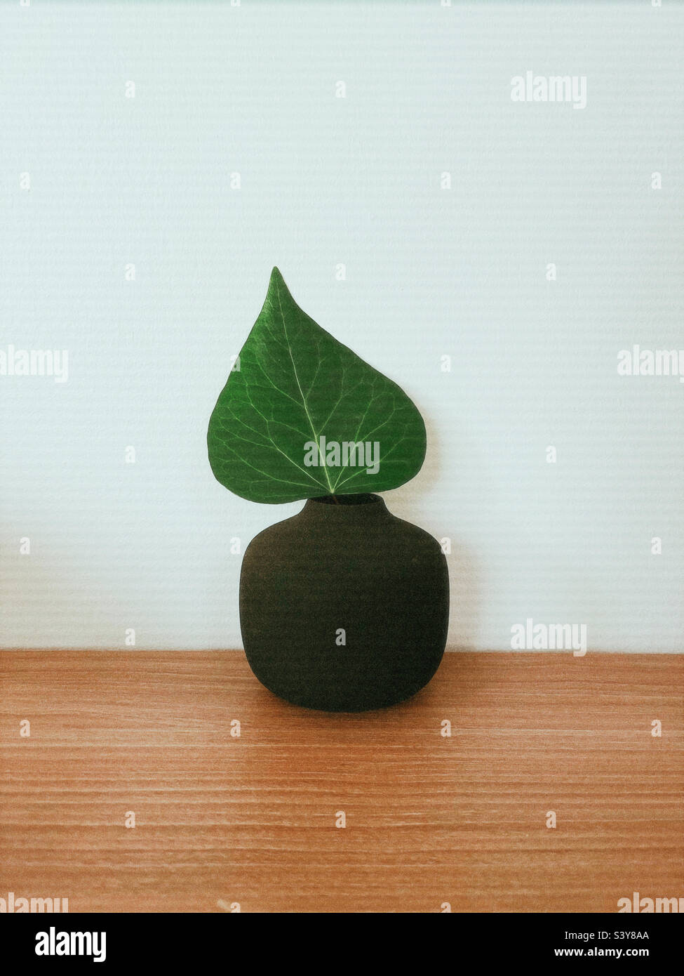 Home decoration - Smartphone Captured Stock Image