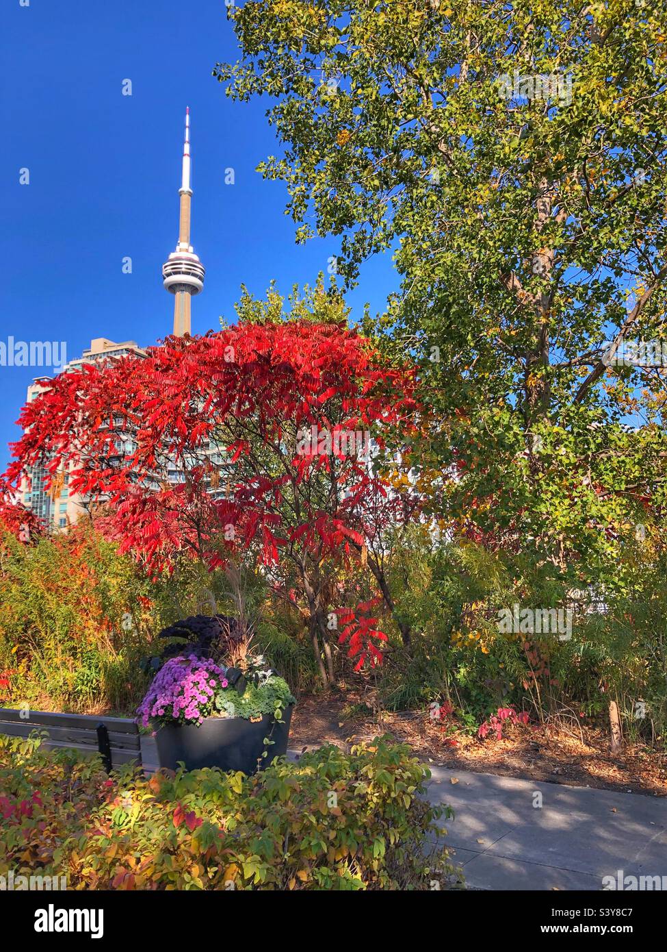 A beautiful autumn day in Toronto, Canada. Stock Photo