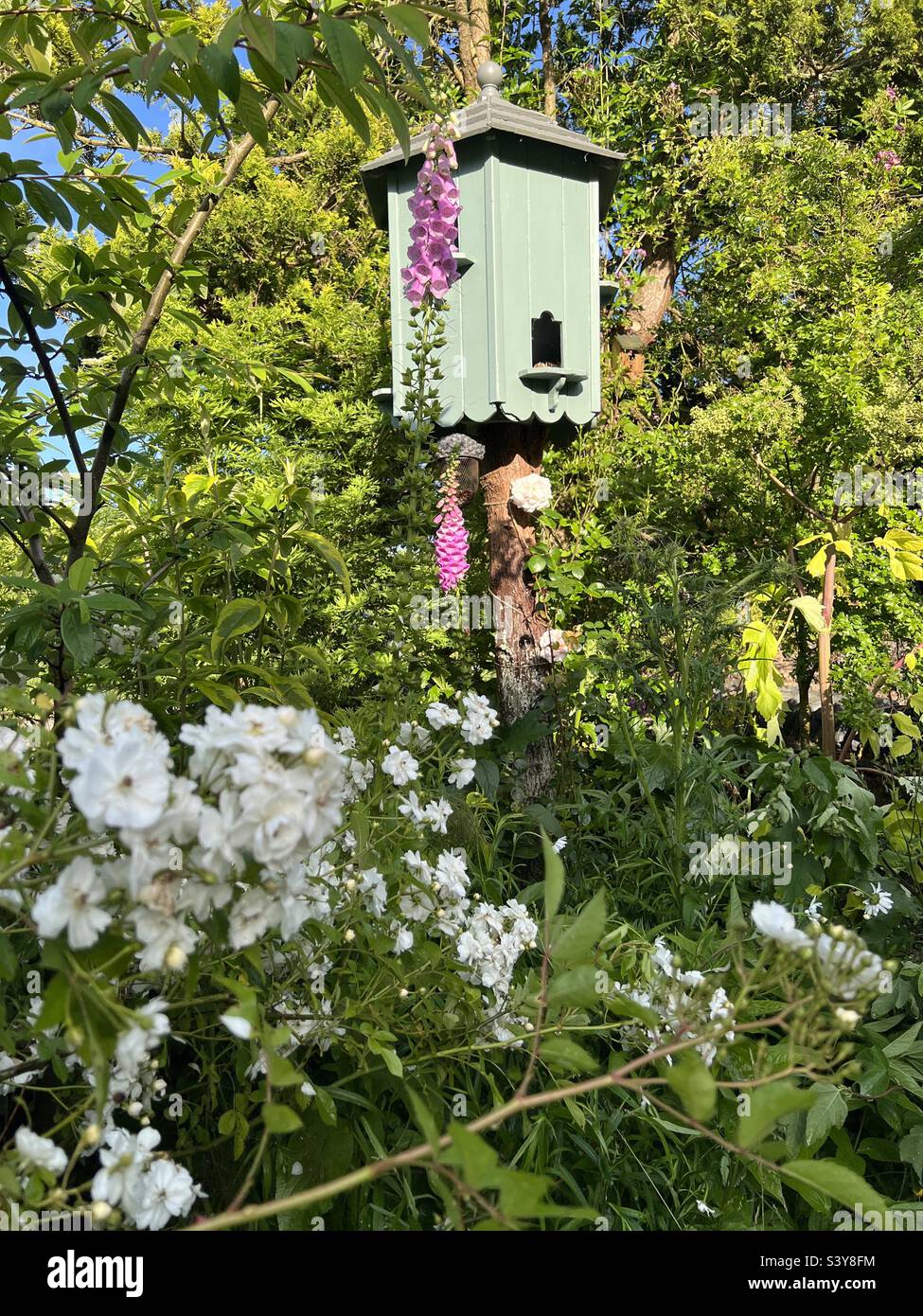 Perfect English dovecote in cottage garden in summer Stock Photo Alamy