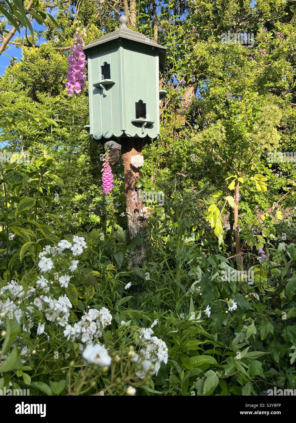 Green dovecote or dovecot in cottage garden in summer Stock Photo Alamy