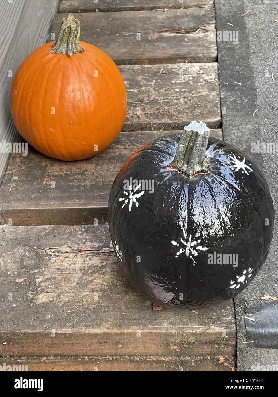 Black pumpkins hi-res stock photography and images - Alamy
