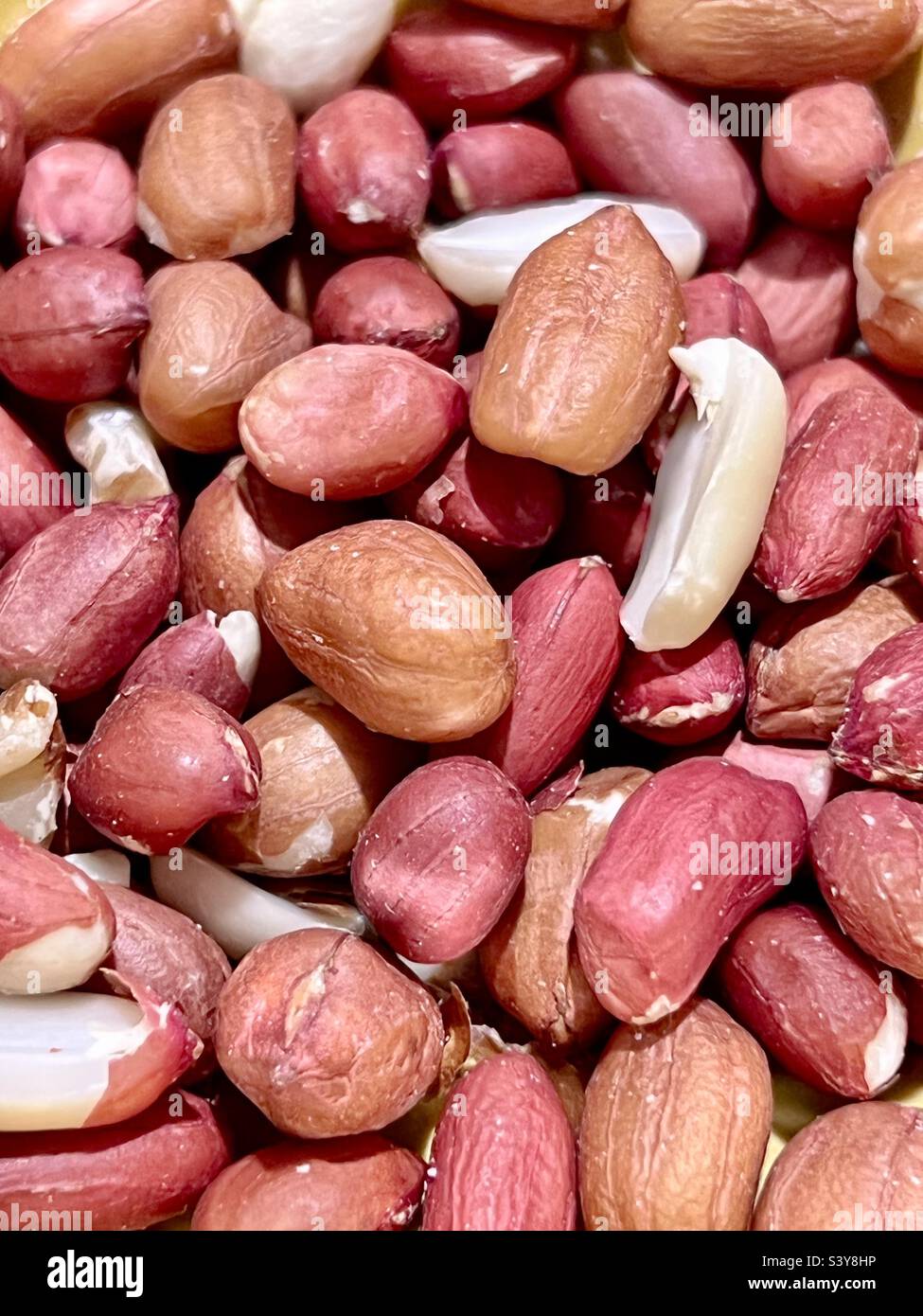 Red and brown Peanuts in skins Stock Photo Alamy