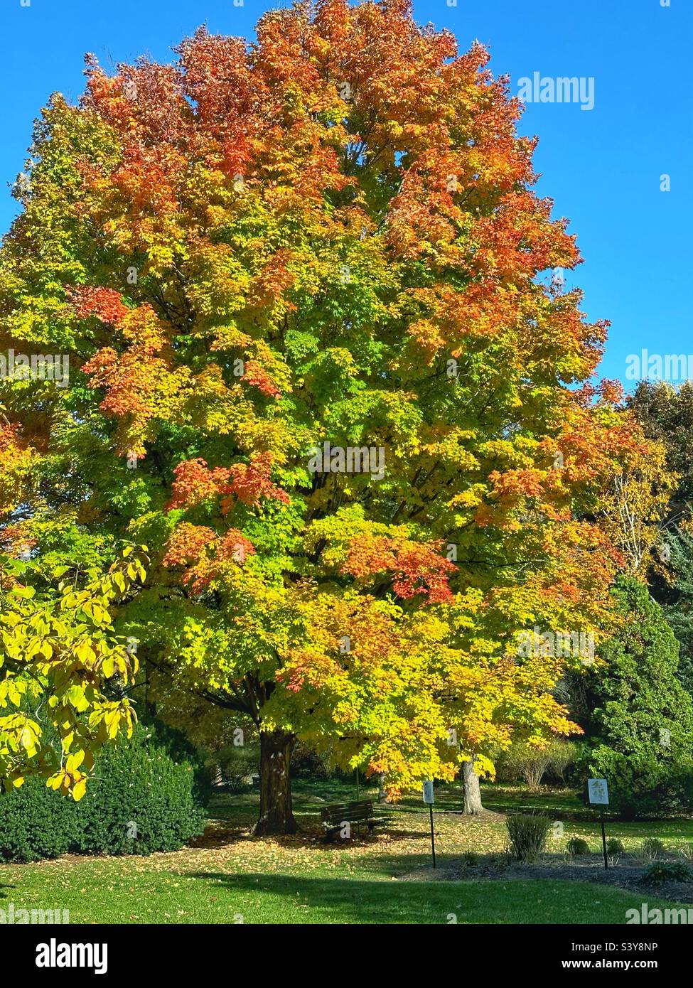 Barrie park hires stock photography and images Alamy