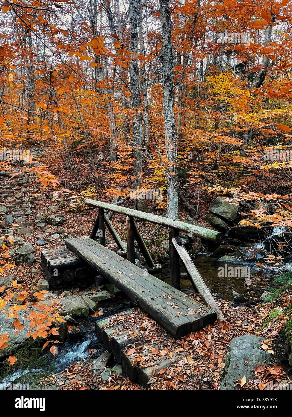 A foot bridge over a creek in the autumn leaves of Vermont. Stock Photo