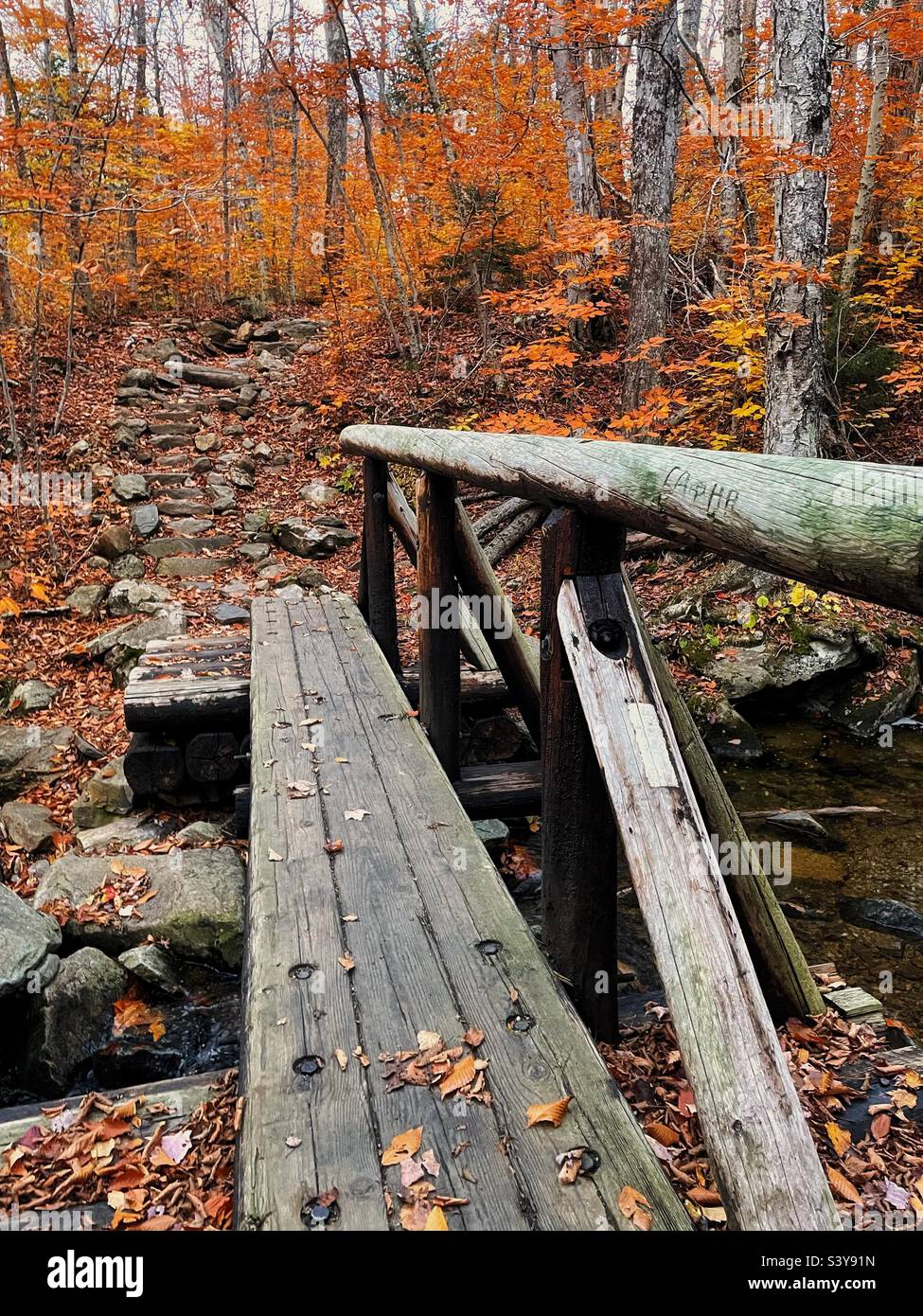 A footbridge over a creek in the orange autumn leaves. Stock Photo