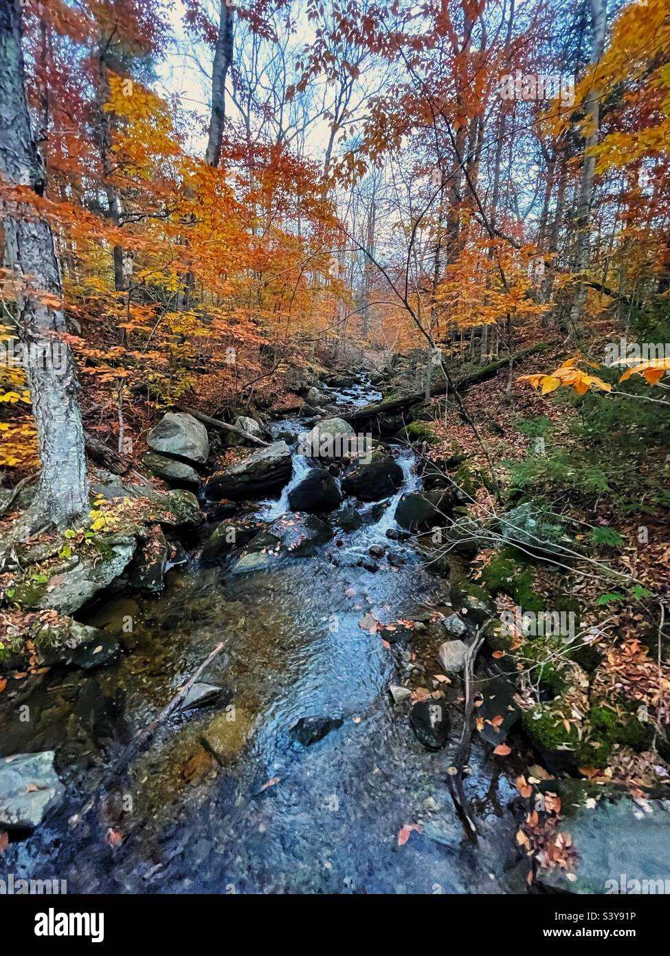 Water flows over rocks in a creek during the fall leaves. Stock Photo