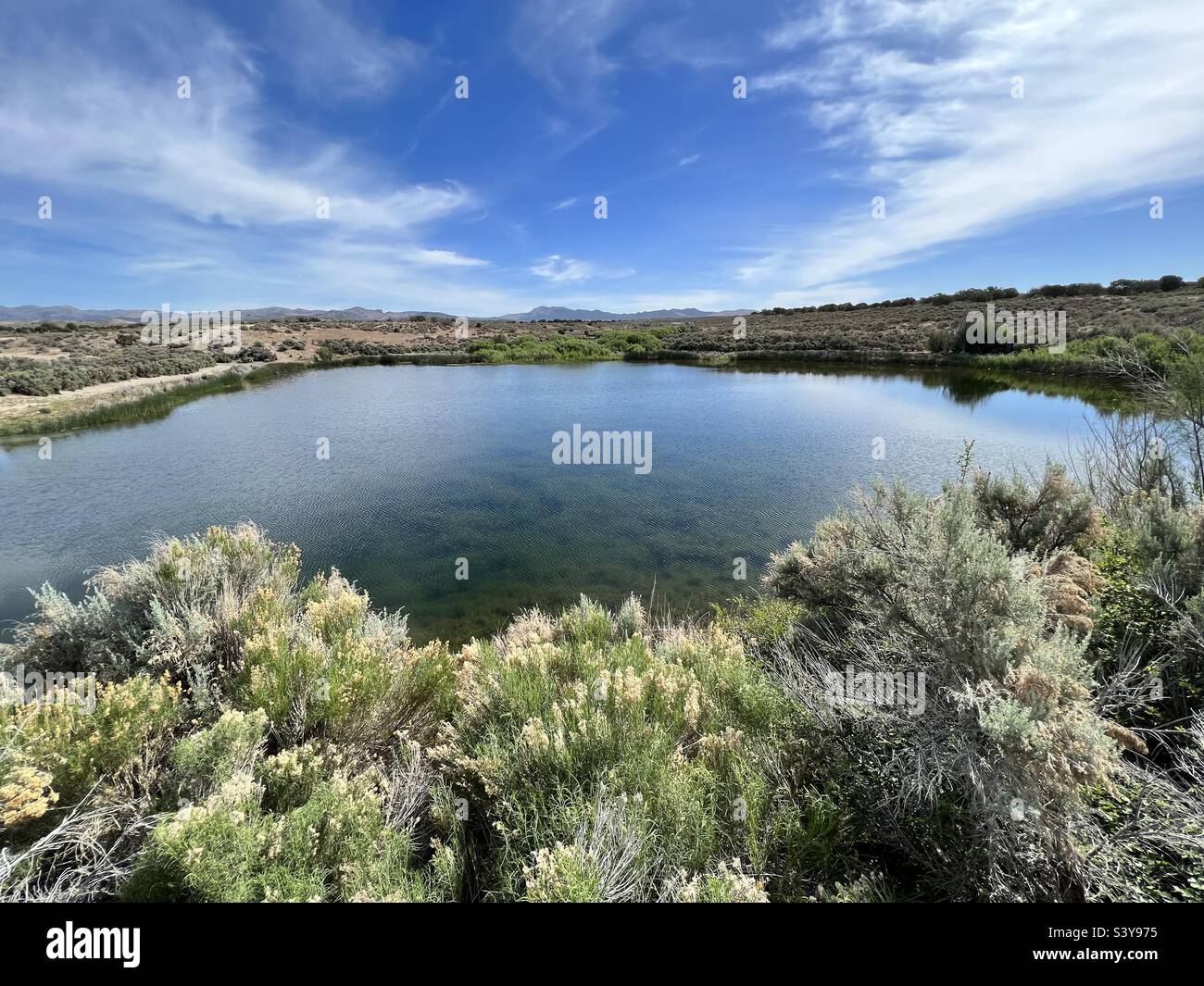 Small pond in the desert Stock Photo Alamy